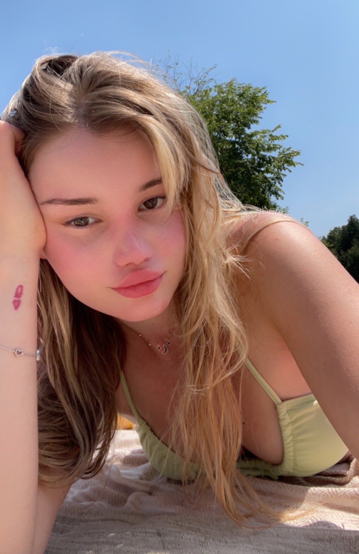 GrivoisMarais de Puy-de-Dôme, France